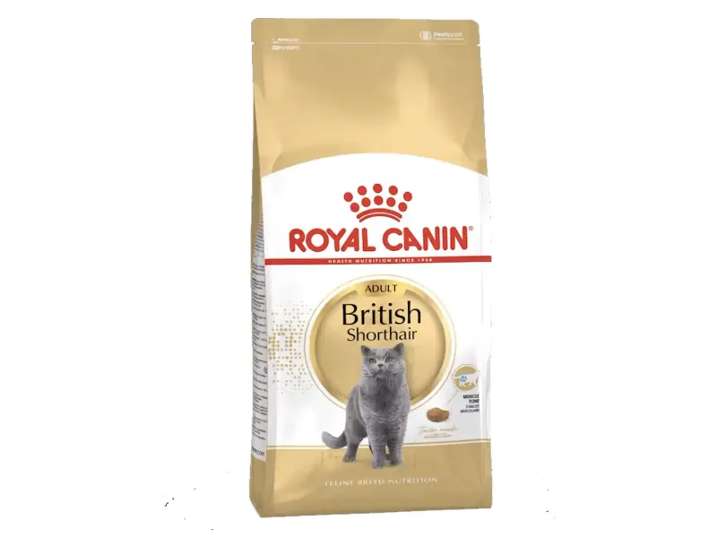 Royal Canin British Shorthair Yetişkin Kedi Maması 4kg Royal Canin British Shorthair Yetişkin Kedi Maması 4kg