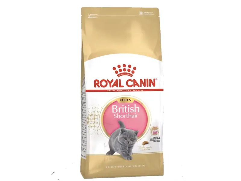 Royal Canin Kitten British Shorthair Yavru Irk Kedi Maması 2 Kg Royal Canin Kitten British Shorthair Yavru Irk Kedi Maması 2 Kg